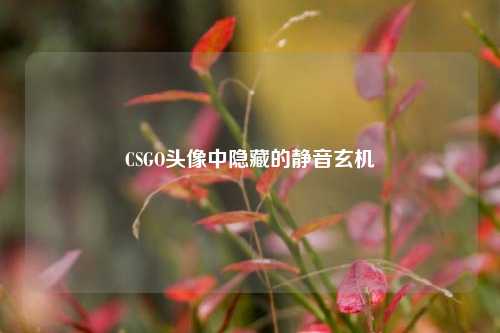 CSGO头像中隐藏的静音玄机