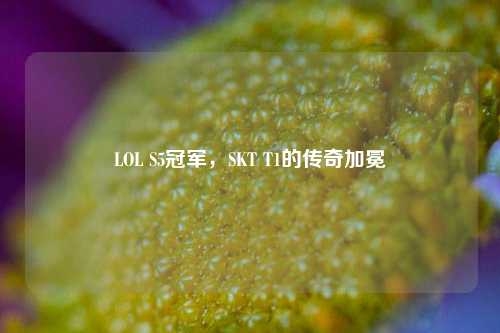 LOL S5冠军,SKT T1的传奇加冕