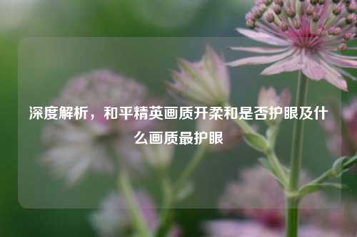 深度解析,和平精英画质开柔和是否护眼及什么画质最护眼