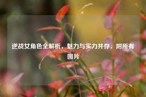 逆战女角色全解析,魅力与实力并存,附所有图片