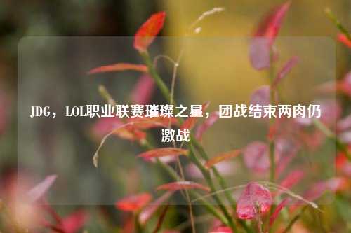 JDG,LOL职业联赛璀璨之星,团战结束两肉仍激战