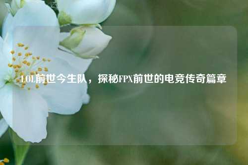 LOL前世今生队，探秘FPX前世的电竞传奇篇章