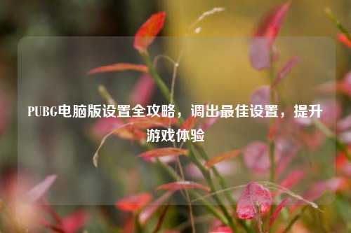 PUBG电脑版设置全攻略,调出更佳设置,提升游戏体验