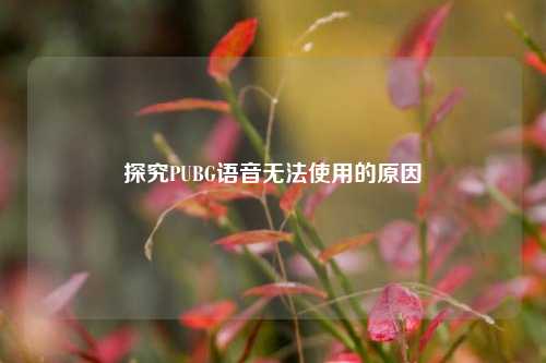 探究PUBG语音无法使用的原因