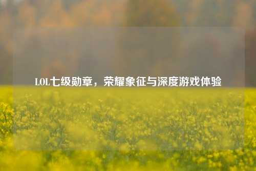 LOL七级勋章,荣耀象征与深度游戏体验