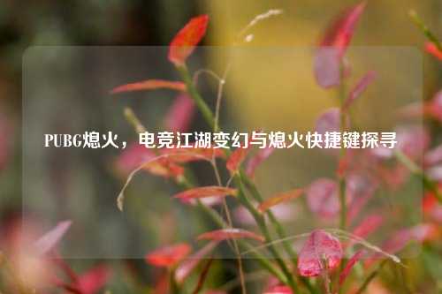 PUBG熄火，电竞江湖变幻与熄火快捷键探寻
