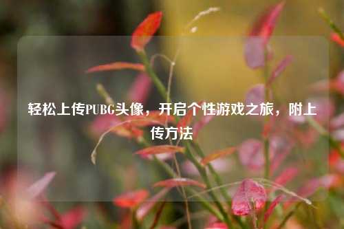 轻松上传PUBG头像，开启个性游戏之旅，附上传     