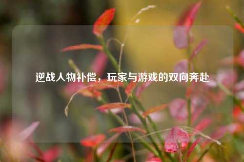 逆战人物补偿,玩家与游戏的双向奔赴