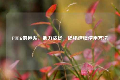 PUBG倍镜贴,助力战场,揭秘倍镜使用
