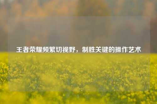 王者荣耀频繁切视野，制胜关键的操作艺术