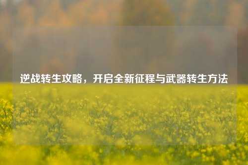 逆战转生攻略,开启全新征程与武器转生