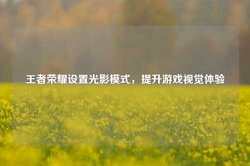 王者荣耀设置光影模式，提升游戏视觉体验