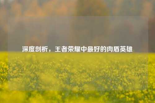 深度剖析，王者荣耀中更好的肉盾英雄