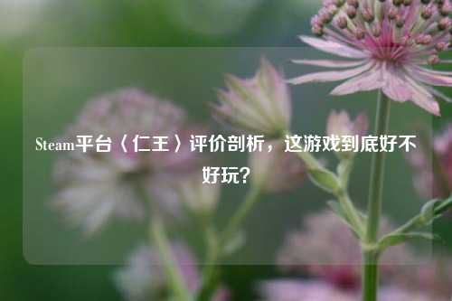 Steam平台〈仁王〉评价剖析，这游戏到底好不好玩？
