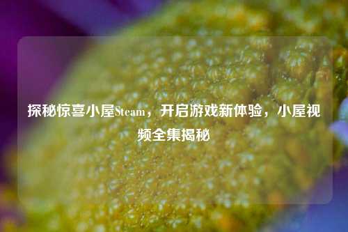 探秘惊喜小屋Steam，开启游戏新体验，小屋视频全集揭秘