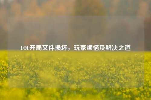 LOL开局文件损坏，玩家烦恼及解决之道