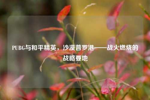 PUBG与和平精英,沙漠普罗港——战火燃烧的战略要地
