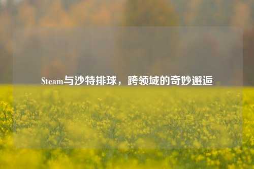 Steam与沙特排球，跨领域的奇妙邂逅