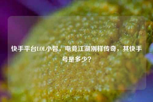 快手平台LOL小智,电竞江湖别样传奇,其快手号是多少?