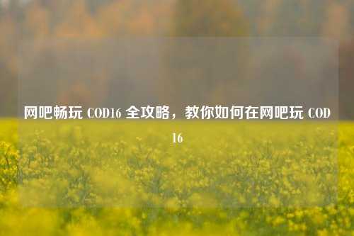 网吧畅玩 COD16 全攻略,教你如何在网吧玩 COD16