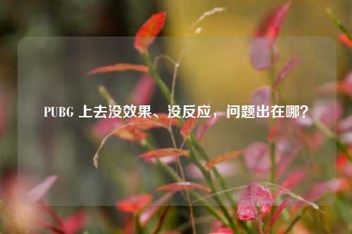 PUBG 上去没效果、没反应,问题出在哪?