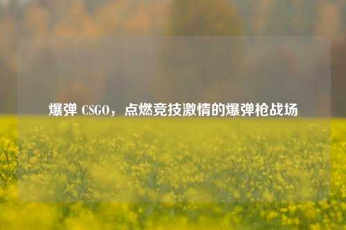 爆弹 CSGO,点燃竞技 的爆弹枪战场