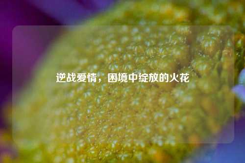 逆战爱情,困境中绽放的火花