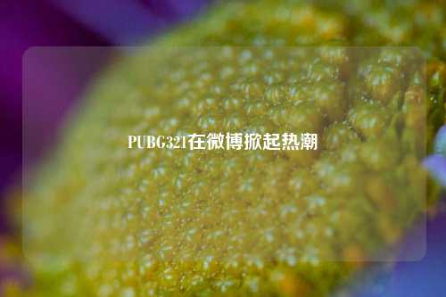 PUBG321在微博掀起热潮