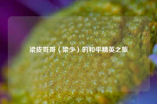 梁皮哥哥（梁少）的和平精英之旅