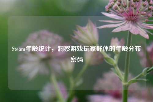 Steam年龄统计，洞察游戏玩家群体的年龄分布密码