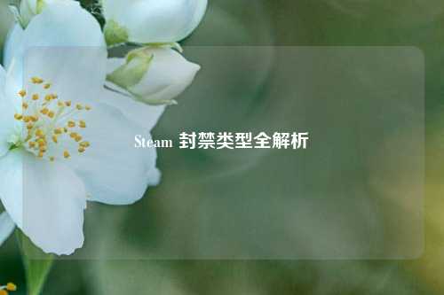 Steam 封禁类型全解析