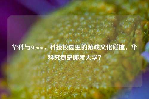 华科与Steam，科技校园里的游戏文化碰撞，华科究竟是哪所大学？