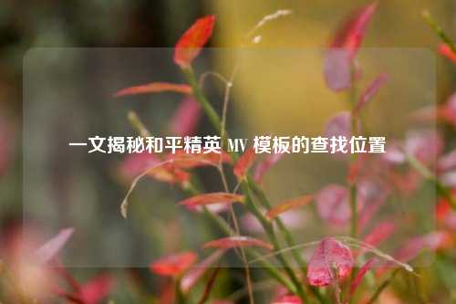 一文揭秘和平精英 MV 模板的查找位置