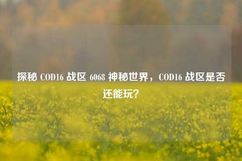 探秘 COD16 战区 6068 神秘世界,COD16 战区是否还能玩?