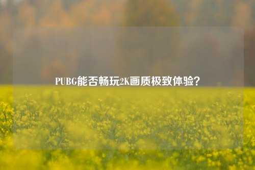 PUBG能否畅玩2K画质极致体验?