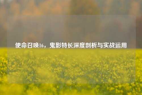使命召唤16,鬼影特长深度剖析与实战运用