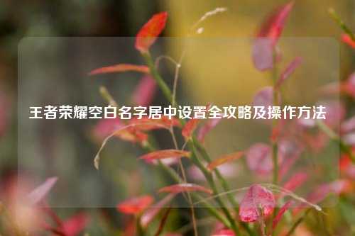 王者荣耀空白名字居中设置全攻略及操作