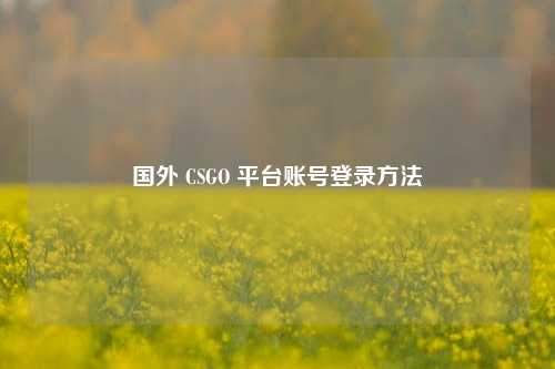 国外 CSGO 平台账号登录     