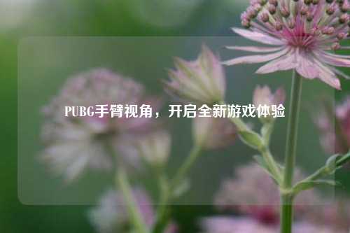 PUBG手臂视角,开启全新游戏体验