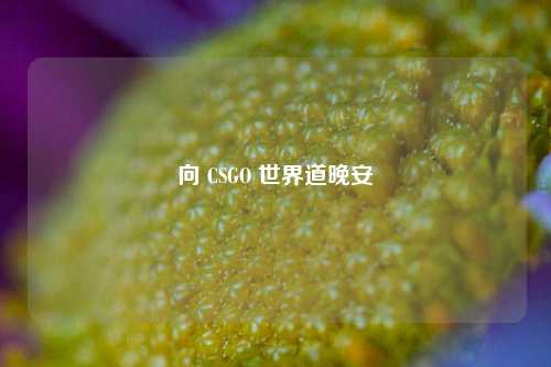向 CSGO 世界道晚安