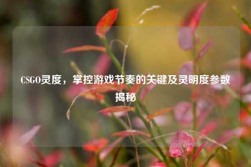CSGO灵度,掌控游戏节奏的关键及灵明度参数揭秘