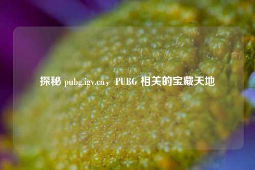 探秘 pubg.igv.cn,PUBG 相关的宝藏天地