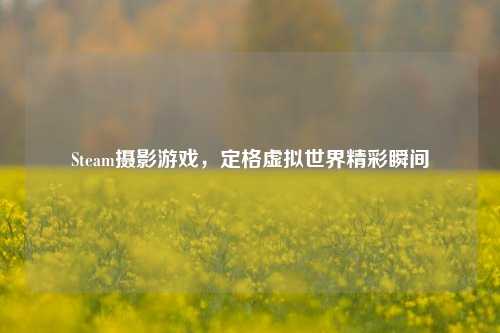 Steam摄影游戏，定格虚拟世界精彩瞬间