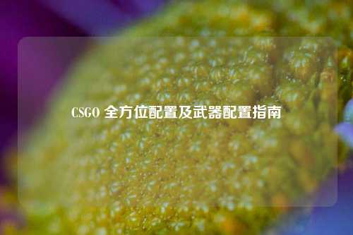 CSGO 全方位配置及武器配置指南