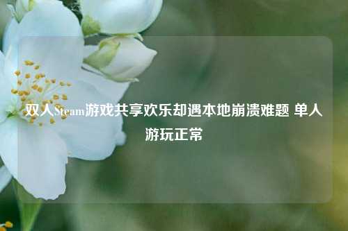 双人Steam游戏共享欢乐却遇本地崩溃难题 单人游玩正常