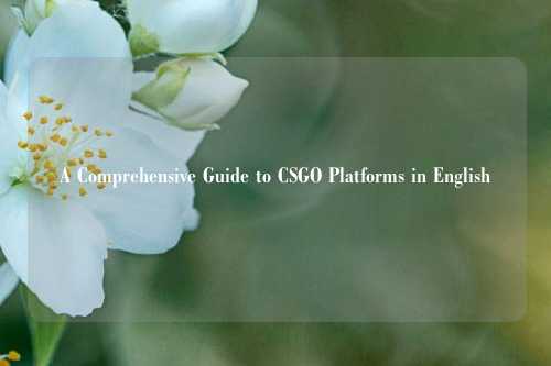 A Comprehensive Guide to CSGO Platforms in English