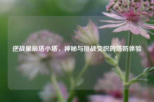 逆战星辰塔小塔,神秘与挑战交织的塔防体验
