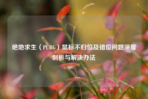 绝地求生(PUBG)鼠标不归位及错位问题深度剖析与解决办法