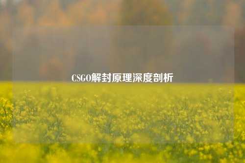 CSGO解封原理深度剖析