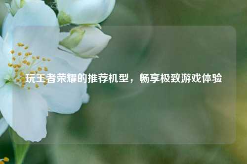 玩王者荣耀的推荐机型,畅享极致游戏体验